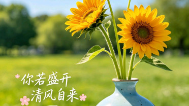 秦始皇霸气千古绝句，优美段落摘抄150字