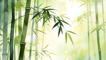 简短淡然安静的个性签名，女人转运聚财微信签名