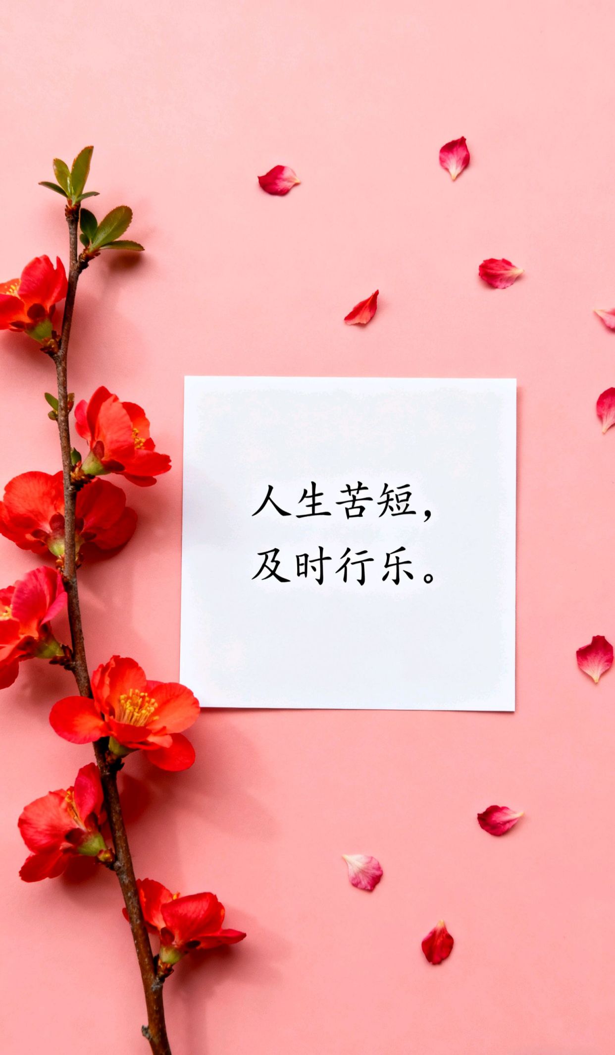 最能打动女人的暖心话，高情商夸人语句