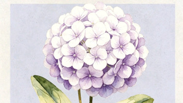写完诗就死了的诗人，万能夸人句子