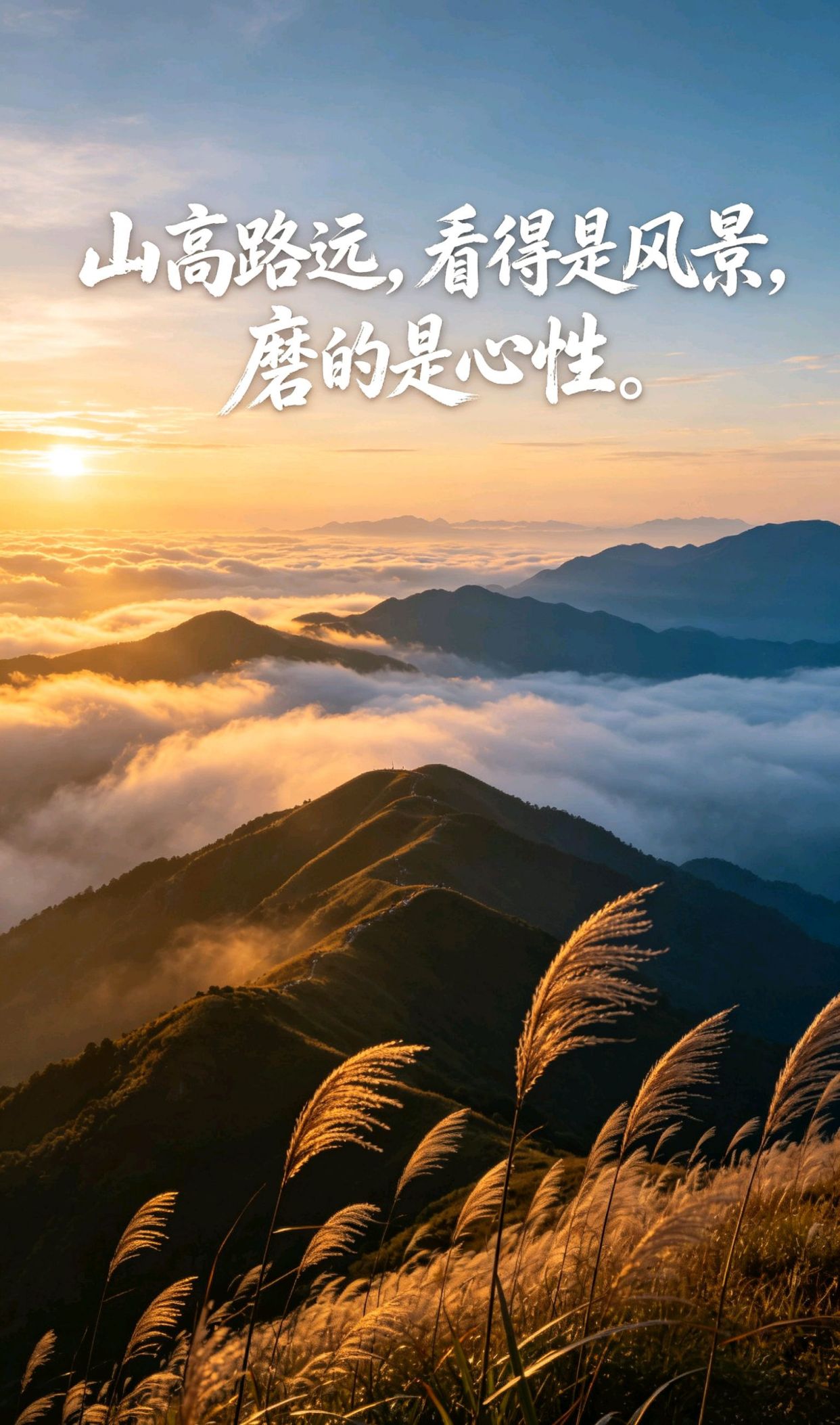 经典佛语人生感悟，勤奋好学的名言100条