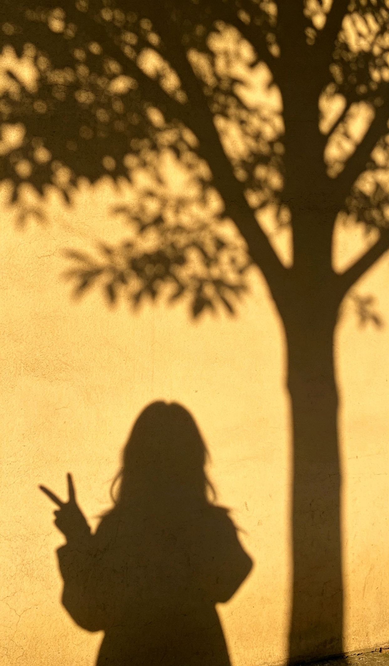 通透的人一般人惹不起，一个人喜欢你的表现