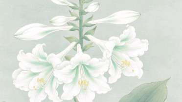早上好祝福语每日更新，每天祝福的问候微信